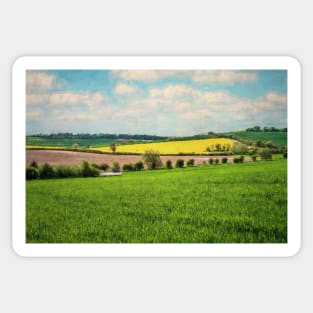 Berkshire Downs Farmland Sticker